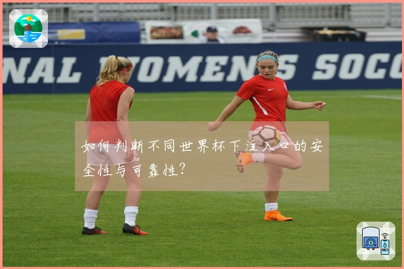 如何判断不同世界杯下注入口的安全性与可靠性？