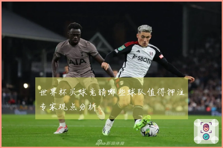 世界杯买球竞猜哪些球队值得押注专家观点分析