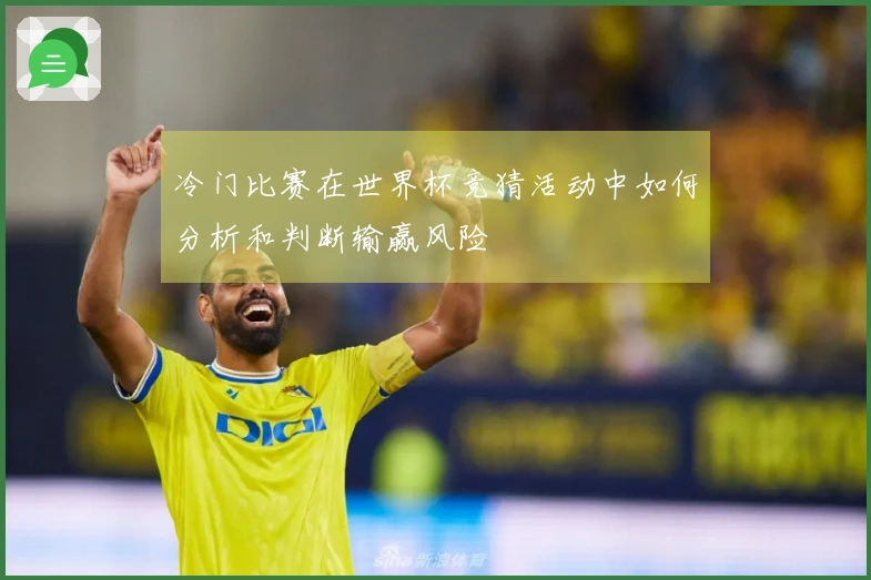 冷门比赛在世界杯竞猜活动中如何分析和判断输赢风险