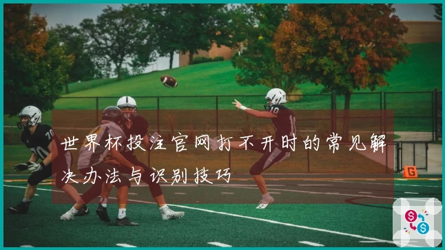 世界杯投注官网打不开时的常见解决办法与识别技巧