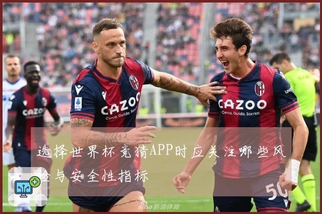 选择世界杯竞猜APP时应关注哪些风险与安全性指标
