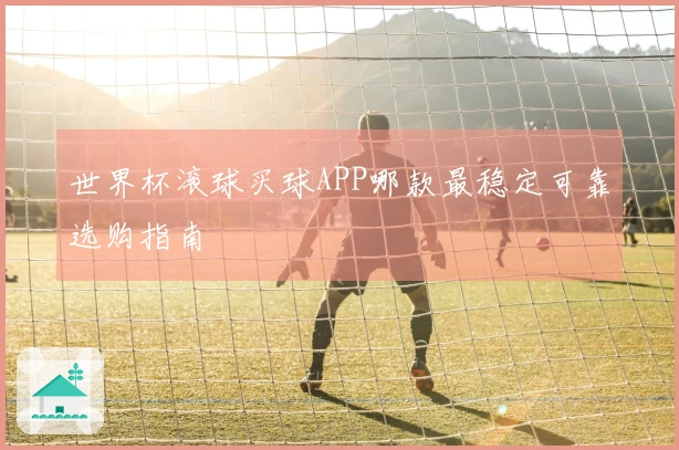 世界杯滚球买球APP哪款最稳定可靠选购指南