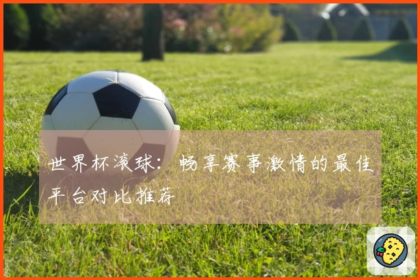 世界杯滚球：畅享赛事激情的最佳平台对比推荐