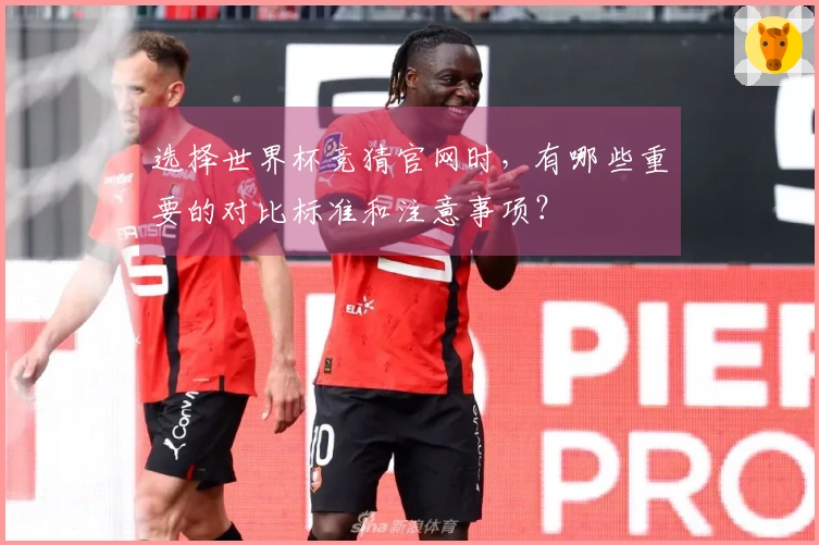 选择世界杯竞猜官网时，有哪些重要的对比标准和注意事项？