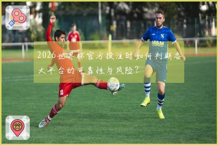 2026世界杯官方投注时如何判断各大平台的可靠性与风险？