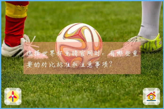 选择世界杯竞猜官网时，有哪些重要的对比标准和注意事项？