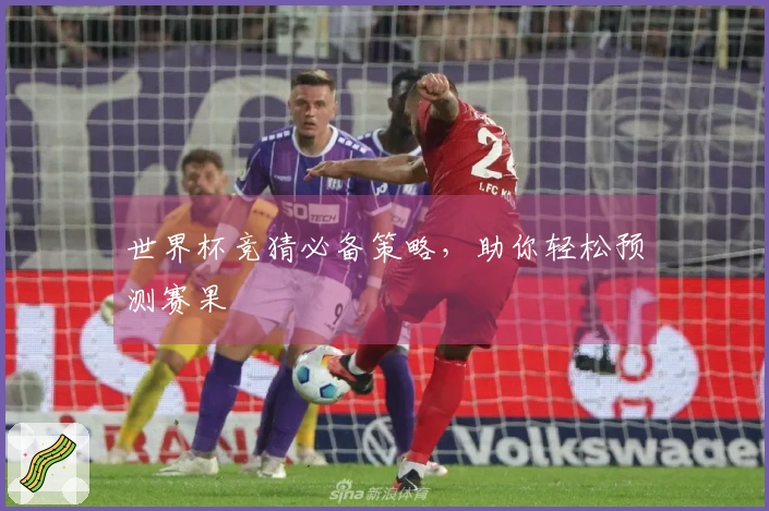 世界杯竞猜必备策略,助你轻松预测赛果