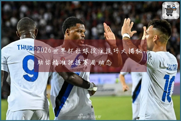 2026世界杯让球投注技巧大揭秘,助你精准把握赛局动态