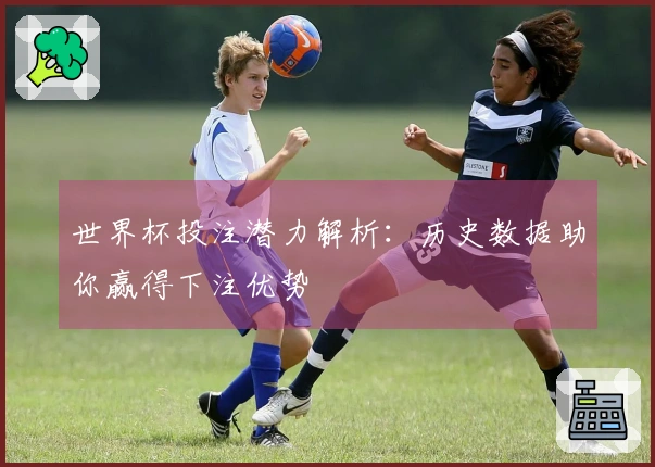 世界杯投注潜力解析：历史数据助你赢得下注优势