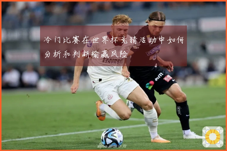 冷门比赛在世界杯竞猜活动中如何分析和判断输赢风险