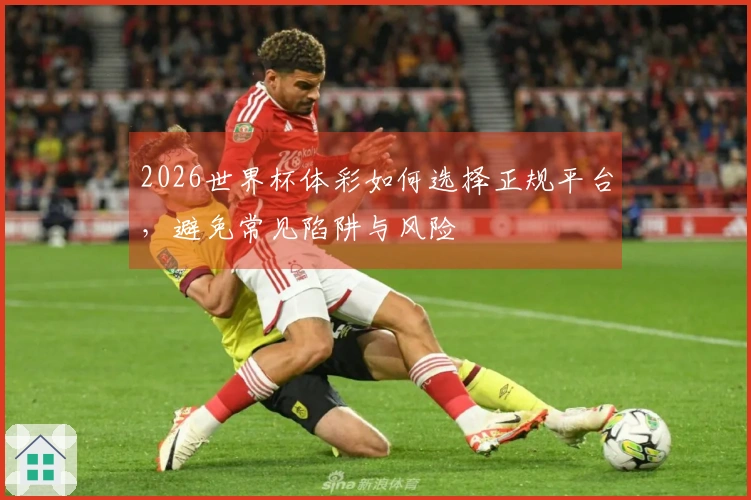 2026世界杯体彩如何选择正规平台，避免常见陷阱与风险
