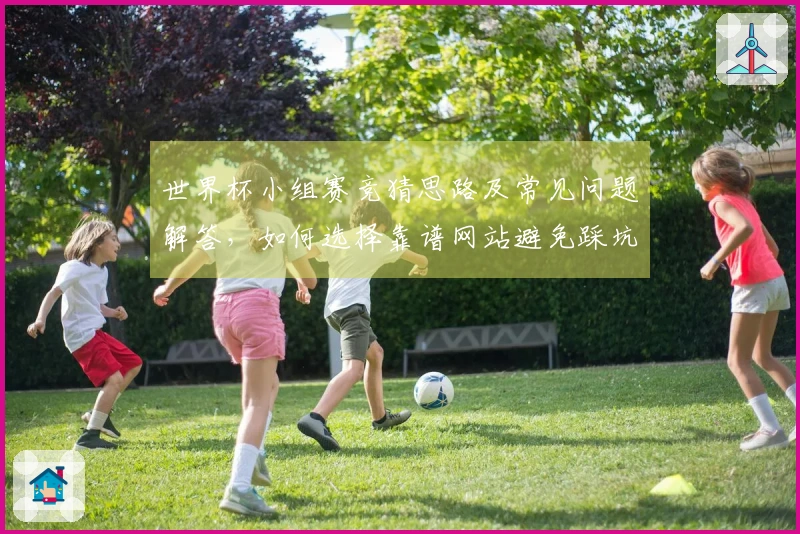 世界杯小组赛竞猜思路及常见问题解答，如何选择靠谱网站避免踩坑