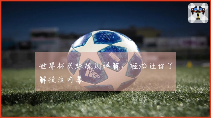 世界杯买球规则详解,轻松让你了解投注内幕