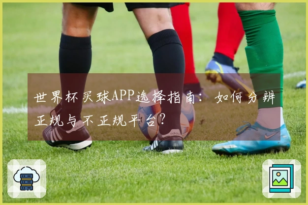 世界杯买球APP选择指南：如何分辨正规与不正规平台？