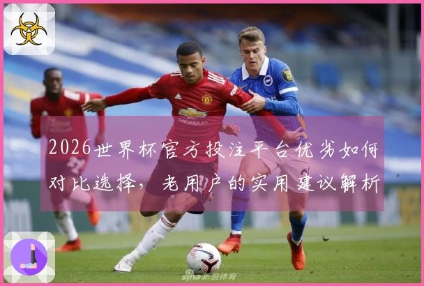 2026世界杯官方投注平台优劣如何对比选择,老用户的实用建议解析