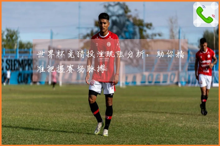 世界杯竞猜投注玩法分析，助你精准把握赛场脉搏