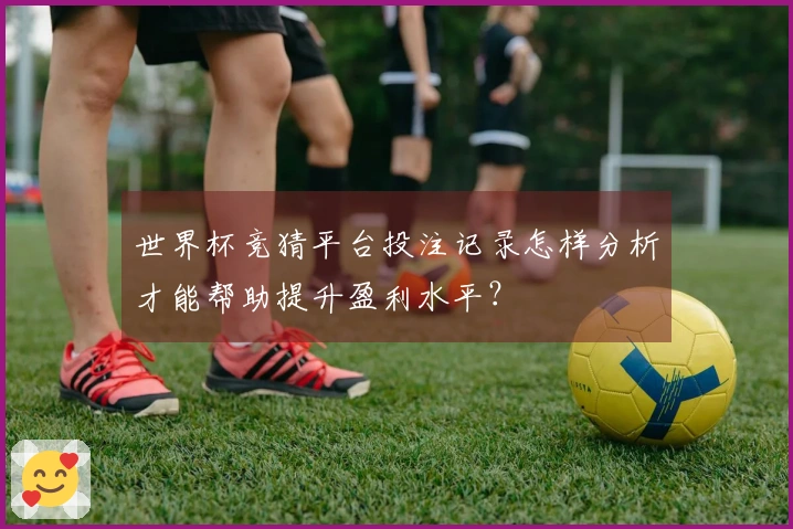 世界杯竞猜平台投注记录怎样分析才能帮助提升盈利水平？