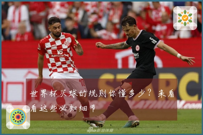 世界杯买球的规则你懂多少？来看看这些必知细节