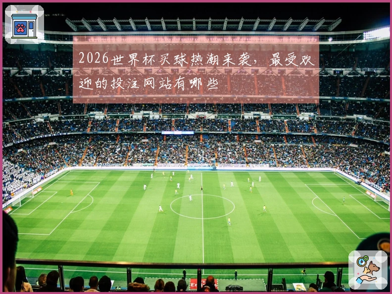 2026世界杯买球热潮来袭，最受欢迎的投注网站有哪些
