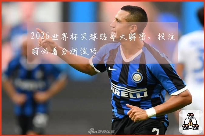 2026世界杯买球赔率大解密，投注前必看分析技巧