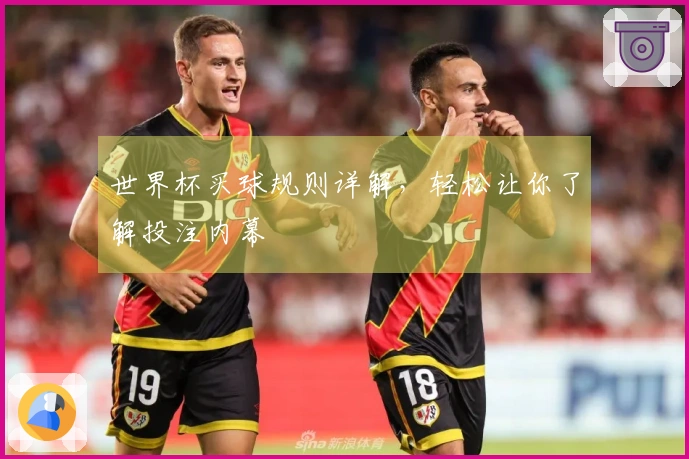 世界杯买球规则详解，轻松让你了解投注内幕