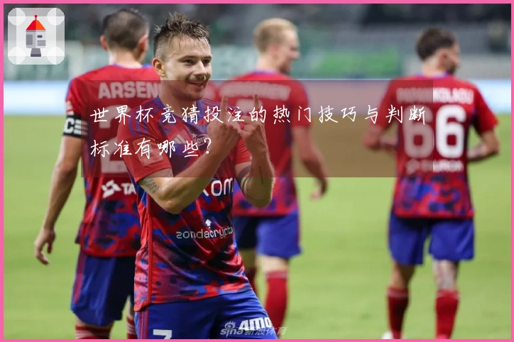 世界杯竞猜投注的热门技巧与判断标准有哪些？