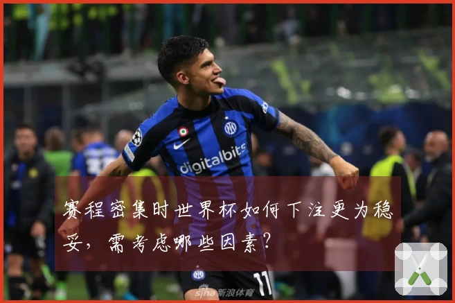 赛程密集时世界杯如何下注更为稳妥，需考虑哪些因素？