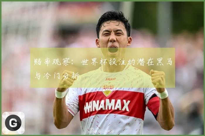 赔率观察：世界杯投注的潜在黑马与冷门分析