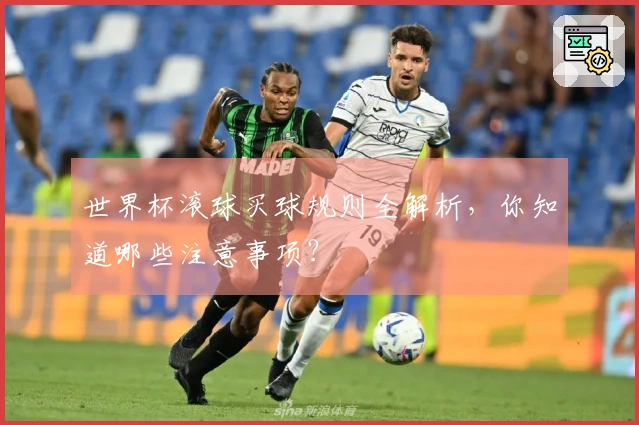 世界杯滚球买球规则全解析,你知道哪些注意事项?