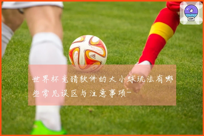 世界杯竞猜软件的大小球玩法有哪些常见误区与注意事项-