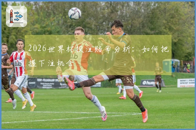 2026世界杯投注赔率分析：如何把握下注机会