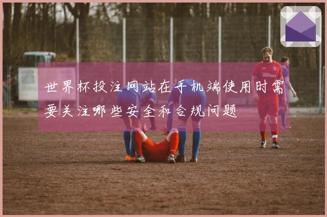 世界杯投注网站在手机端使用时需要关注哪些安全和合规问题